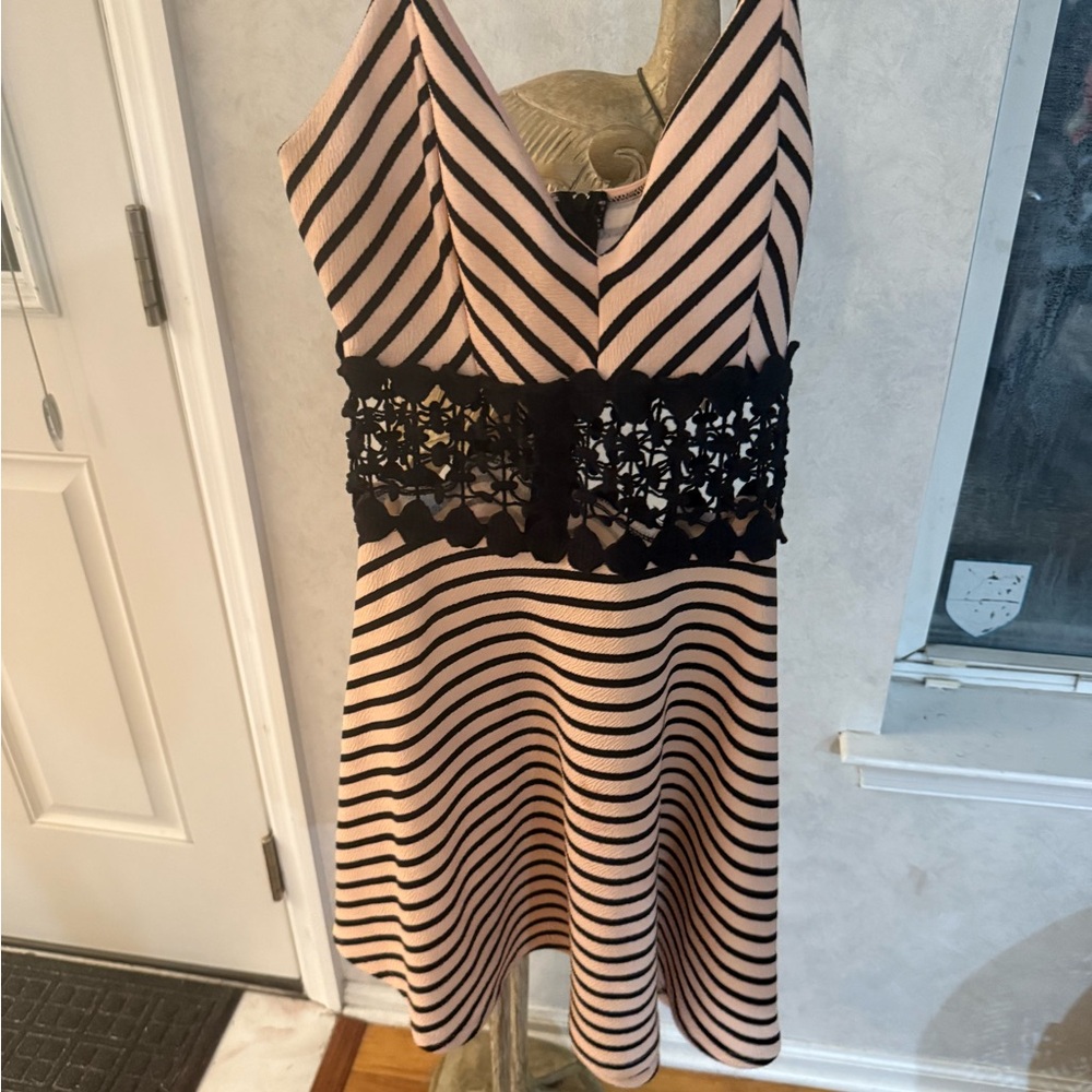 Striped Pink and Black Dress